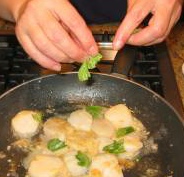 scallops with basil xx10